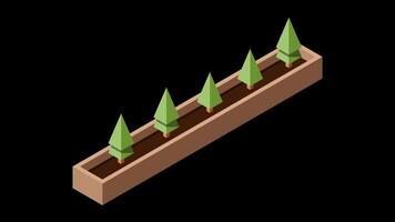 Isometric plant animation. Isometric potted plant. Isometric tree. Tree isometric elements. Motion graphic. Transparent background with alpha channel. video