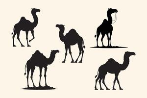 Camel silhouette design bundle and black camel icon vector