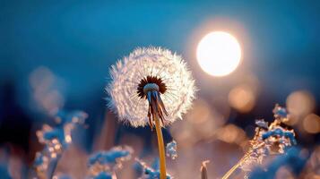whimsical dandelion confetti scatter against cerulean sky backdrop - playful dance of natures soft white seeds photo