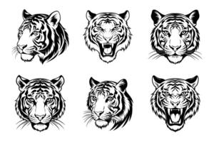 Modern tiger head silhouette isolated in flat style vector