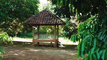 A serene gazebo surrounded by lush greenery, featuring a traditional tiled roof and wooden structure, set in a tranquil outdoor environment video