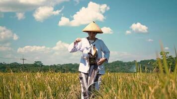 A woman in traditional attire walking through a rice field under a blue sky with fluffy clouds. She wears a straw hat and has a serene expression, surrounded by golden rice plants video