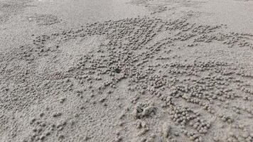 Intricate sand patterns formed by tiny crabs creating small pellets on the beach photo