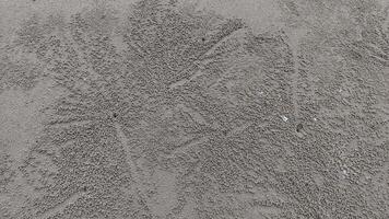 Close-up of tiny crab-made sand pellets forming unique patterns on a beach, showcasing natural coastal artistry and marine activity photo