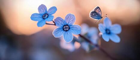 symphony of grace and ethereal glow, wildflowers illuminated under sunlights caress, as delicate butterflies with azure and amethyst wings flutter amongst vibrant blossoms - vivid in light blue sky photo