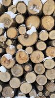 Stack of Wooden Logs Covered with Snow in a Natural Outdoor Setting. Snow-dusted cut wooden logs arranged in a neat pile, showcasing natural textures ideal for countryside, firewood, or rustic-inspired themes. photo
