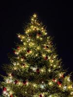 A beautifully decorated Christmas tree with twinkling white lights and red ornaments stands tall in a snowy park at night. A string of festive lights in the background enhances the holiday atmosphere photo