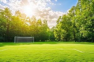 Serene Soccer Field Surrounded by Lush Green Grass Under a Bright Sunny Sky with Trees photo