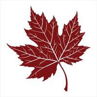 Red Maple Leaf Silhouette Nature's Symbol of Autumn vector
