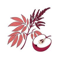 Amaranth Apple Mash Verde on White Background vector