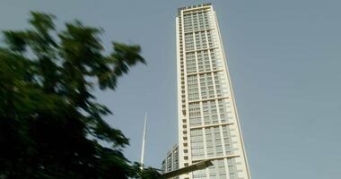 Modern minimal skyscrapers with palm trees at the foot, sunny day, view from below video