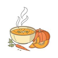 Nutritious Carrot Pumpkin Soup Healthy Option vector