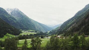 A view of a valley with green grass and trees video