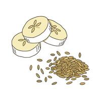 Nutritious Flaxseed Banana Mash Healthy Option vector