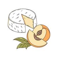 Delicious Goat Cheese Peach Puree Flavorful vector
