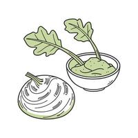 Savory Kohlrabi Puree Quick Option vector