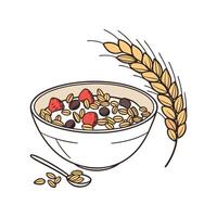 Nutritious MultiGrain Cereal for Healthy Meals vector