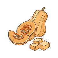Nutritious Soft Butternut Squash Cubes for Healthy Treats vector