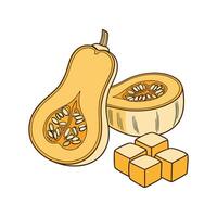 Yummy Soft Butternut Squash Cubes for Healthy Snacking vector