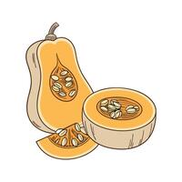 Creamy Soft Butternut Squash Cubes for Nutritional Meals vector