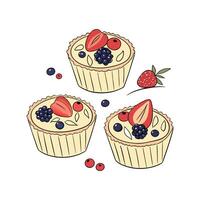 Nutritious Soft Quinoa Fruit Bites Healthy Snack vector