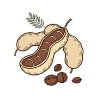 Tamarind Mash Delight on White Background vector