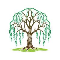 Realistic Willow Tree Bold Outline Design 3 vector