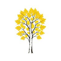 Realistic Yellow Birch Tree Bold Outline Design 2 vector