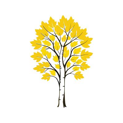 Realistic Yellow Birch Tree Bold Outline Design 2