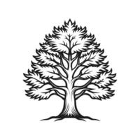 Realistic Yew Tree Bold Outline Design 1 vector