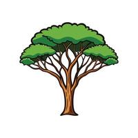 Bold Outline Acacia Tree Design vector