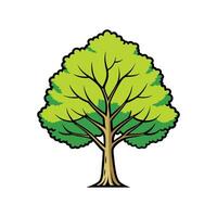 Bold Outline Alder Tree Design vector