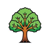 Elegant Sycamore Tree Outline Design vector