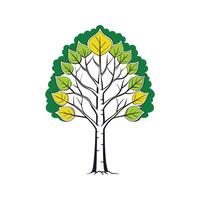 Stylish Aspen Tree Bold Outline vector