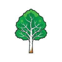 Distinctive Aspen Tree Outline Design vector