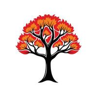 Stylish Australian Flame Tree Bold Outline vector