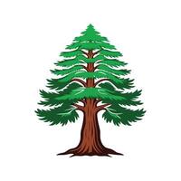 Elegant Bald Cypress Tree Design vector