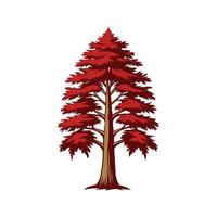 Unique Outline of Bald Cypress Tree vector