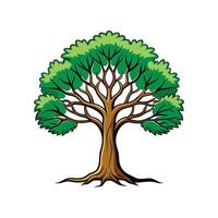 Elegant Beech Tree Design Bold Outline vector