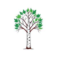 Stylish Birch Tree Outline Design vector