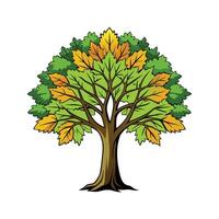 Elegant Big Leaf Maple Tree Design vector