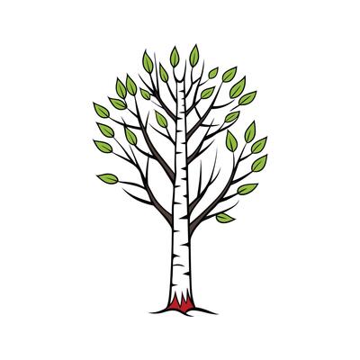 Creative Outline of Birch Tree Design