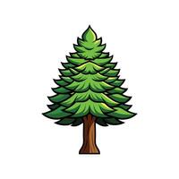 Charming Outline of Bunya Pine Tree vector