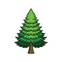 Creative Outline of Bunya Pine Tree vector