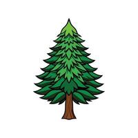 Unique Outline of Bunya Pine Tree vector