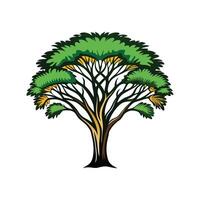 Creative Outline of Bushwillow Tree vector