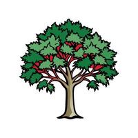 Elegant Carolina Silverbell Tree Bold Outline vector