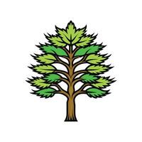 Elegant Outline of Casuarina Tree vector