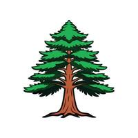 Unique Cedar Tree Design Outline vector