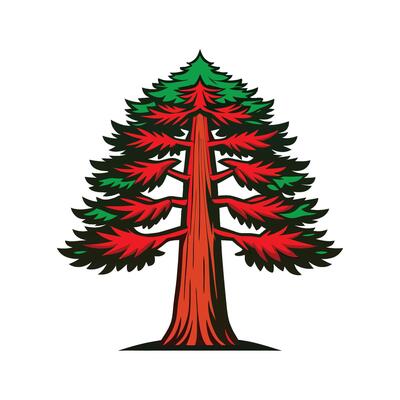 Elegant Outline of Coast Redwood Tree